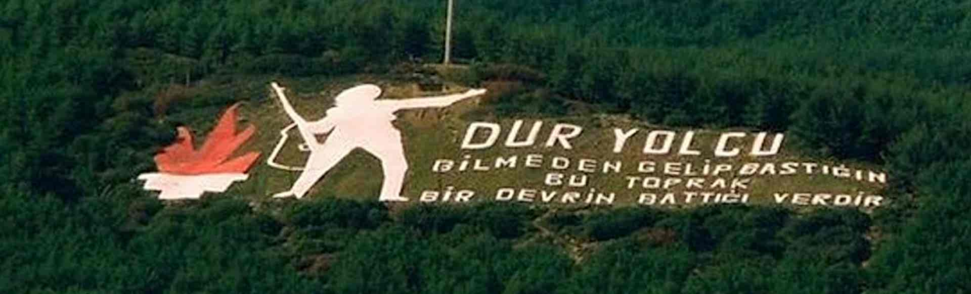 serereklam-ar-ge-merkezi-noodle